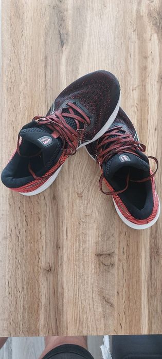 Buty Asics evoride 2