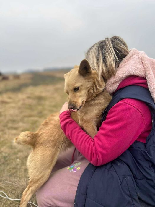 Rózia szuka kąta dla siebie