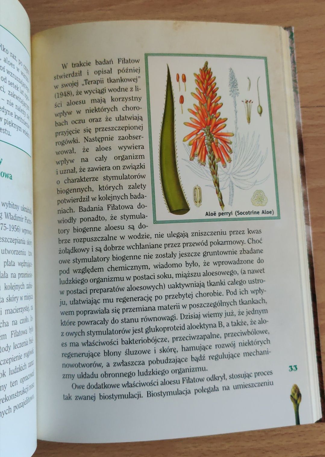 Aloes leczniczy cud natury - książka