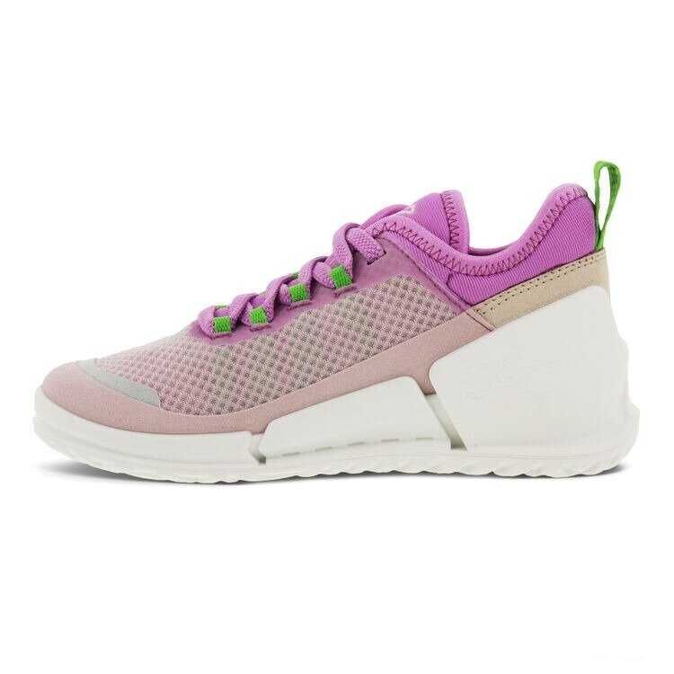 Кроссовки Ecco BIOM. Оригинал. р 40