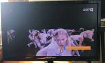 Telewizor Blaupunkt 21"