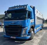 Volvo FM 420 zabudowa ZAPAŁA do żywca/do przewozu zwierząt