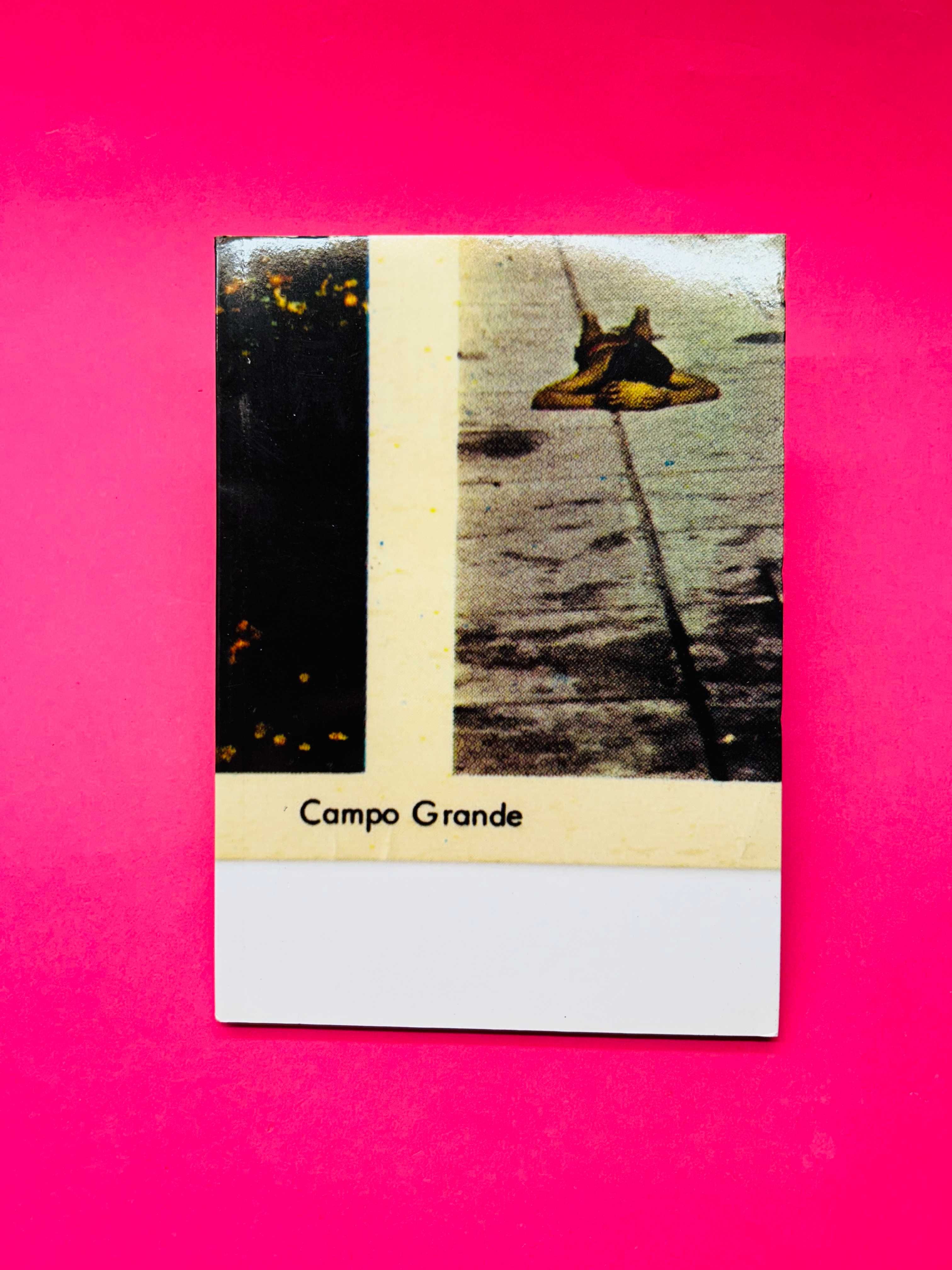 Campo Grande, Exposição - Pedro Gomes