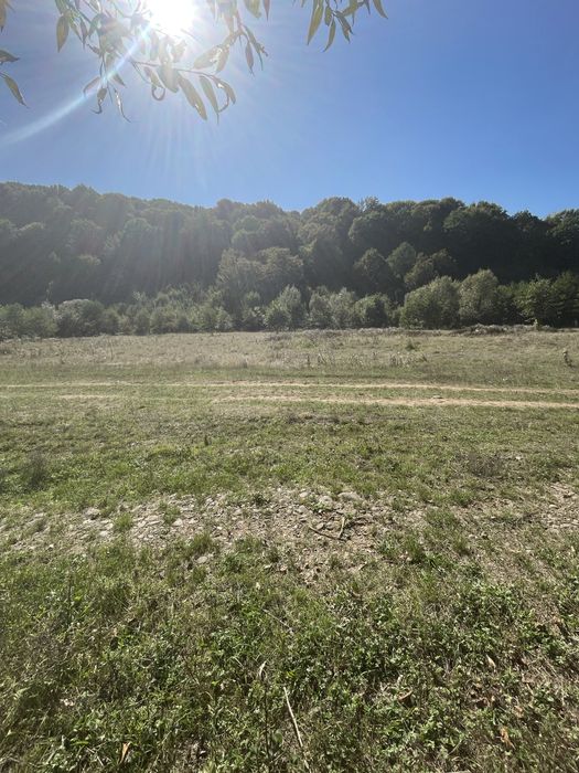 Земельна ділянка