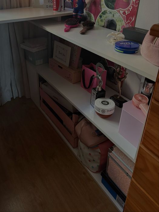 secretaria como nova