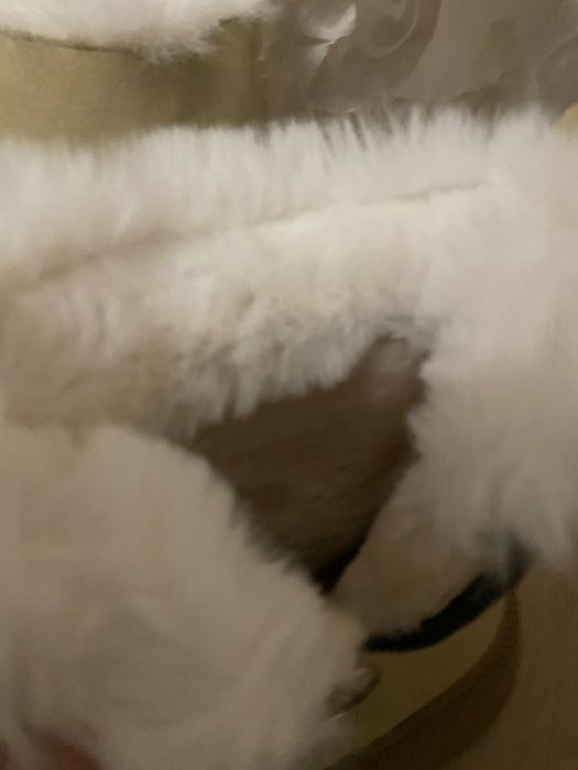 жіночі зимові черевики з бічною блискавкою розмір 39