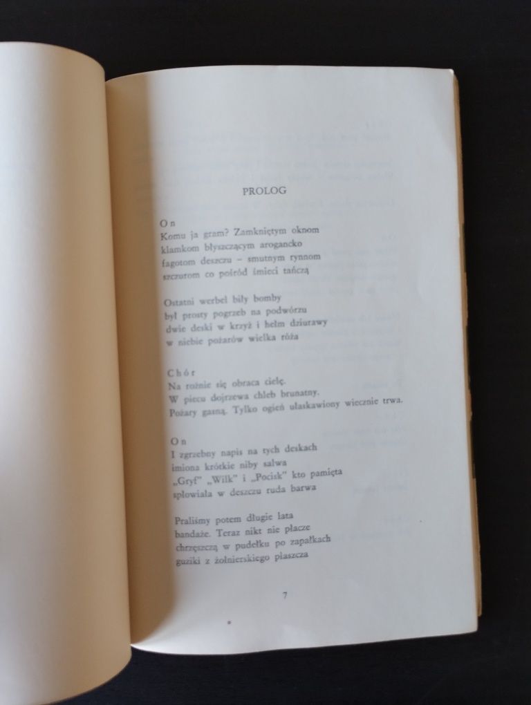 Napis - Zbigniew Herbert