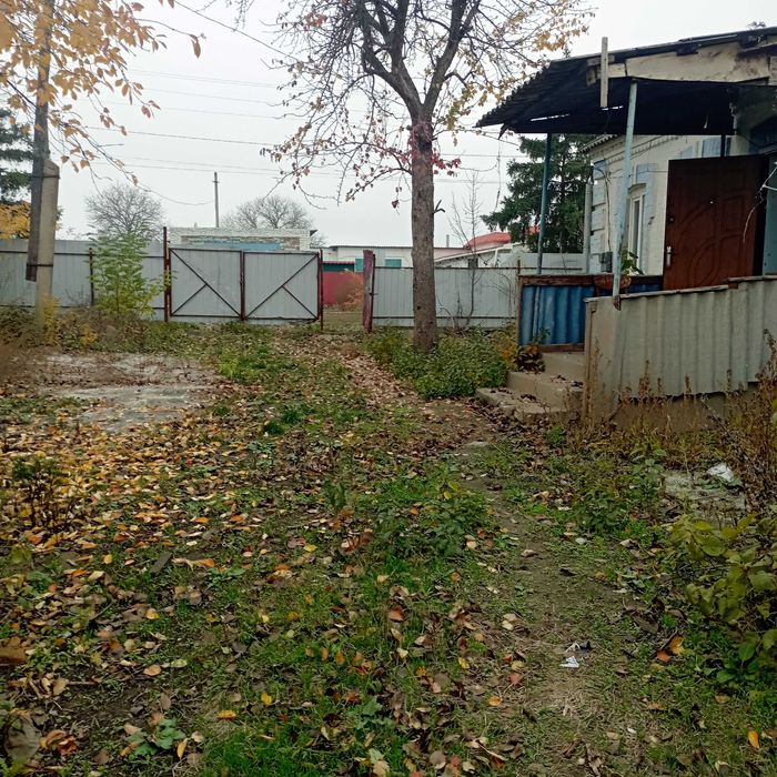 Приватний будинок із земельною ділянкою