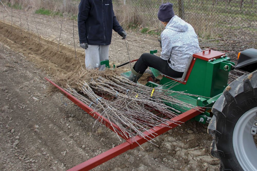 Sadzarka do drzew i krzewów SDK-DN KRÓLIK l dozownik nawozu