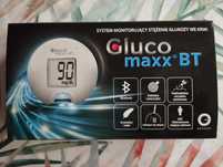 Glukometr gluco max BT