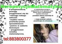 Profesjonalne Korepetycje z matematyki