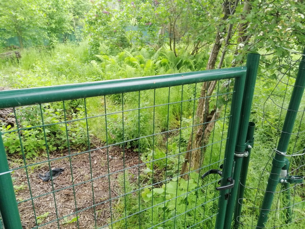 Koszenie trawy działek, karczowanie nieużytków, rębak,wycinka