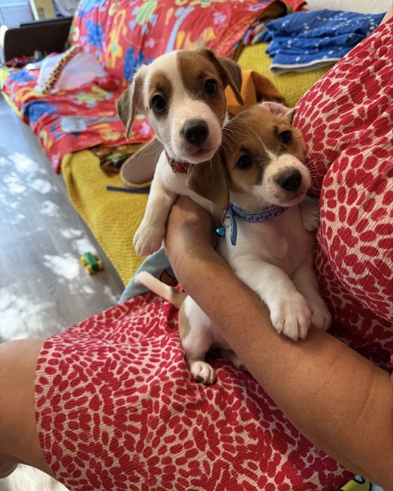 Девочка готова к переезду