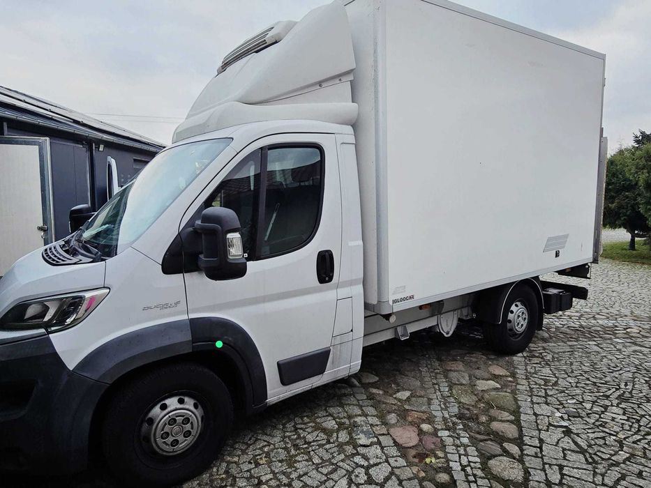 Fiat Ducato Chłodnia + Winda • 2016 • 260 tys. km •