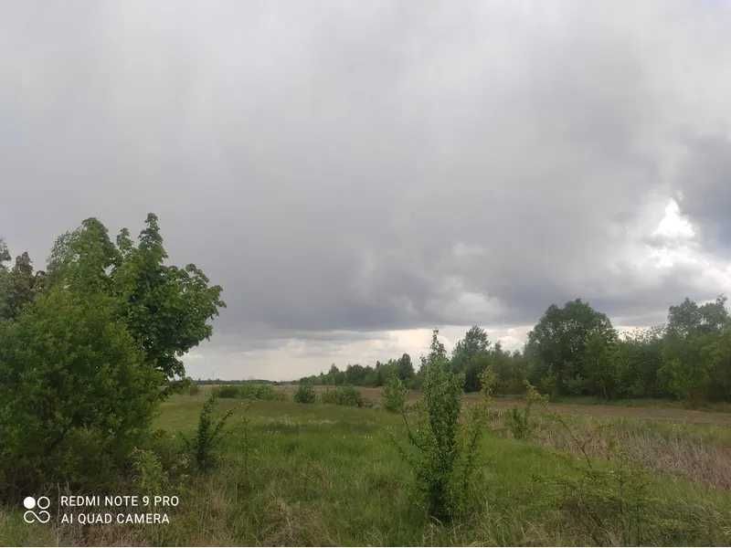 Земельна ділянка (1.2799 га) - с.Нова Кам'янка Львівська обл.