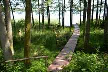 Domek Kurka nad jeziorem Sasek Wielki koło Szczytna Mazury nocleg ryby