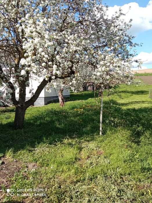 Продається житловий будинок