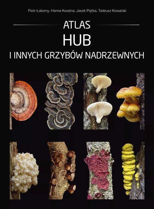 Atlas hub i innych grzybów nadrzewnych. Multico. Nowy Produkt