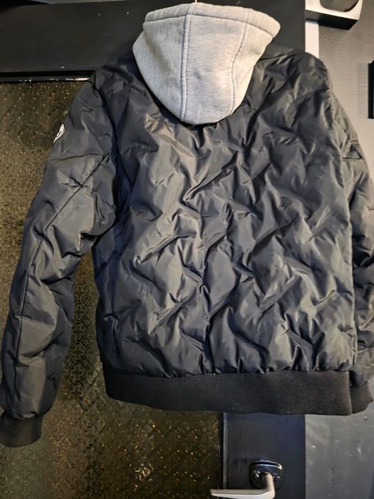 Kurtka damska pitbull