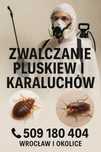 Odpluskwianie Wrocław i okolice – Szybka pomoc! Skutecznie od 350 zł