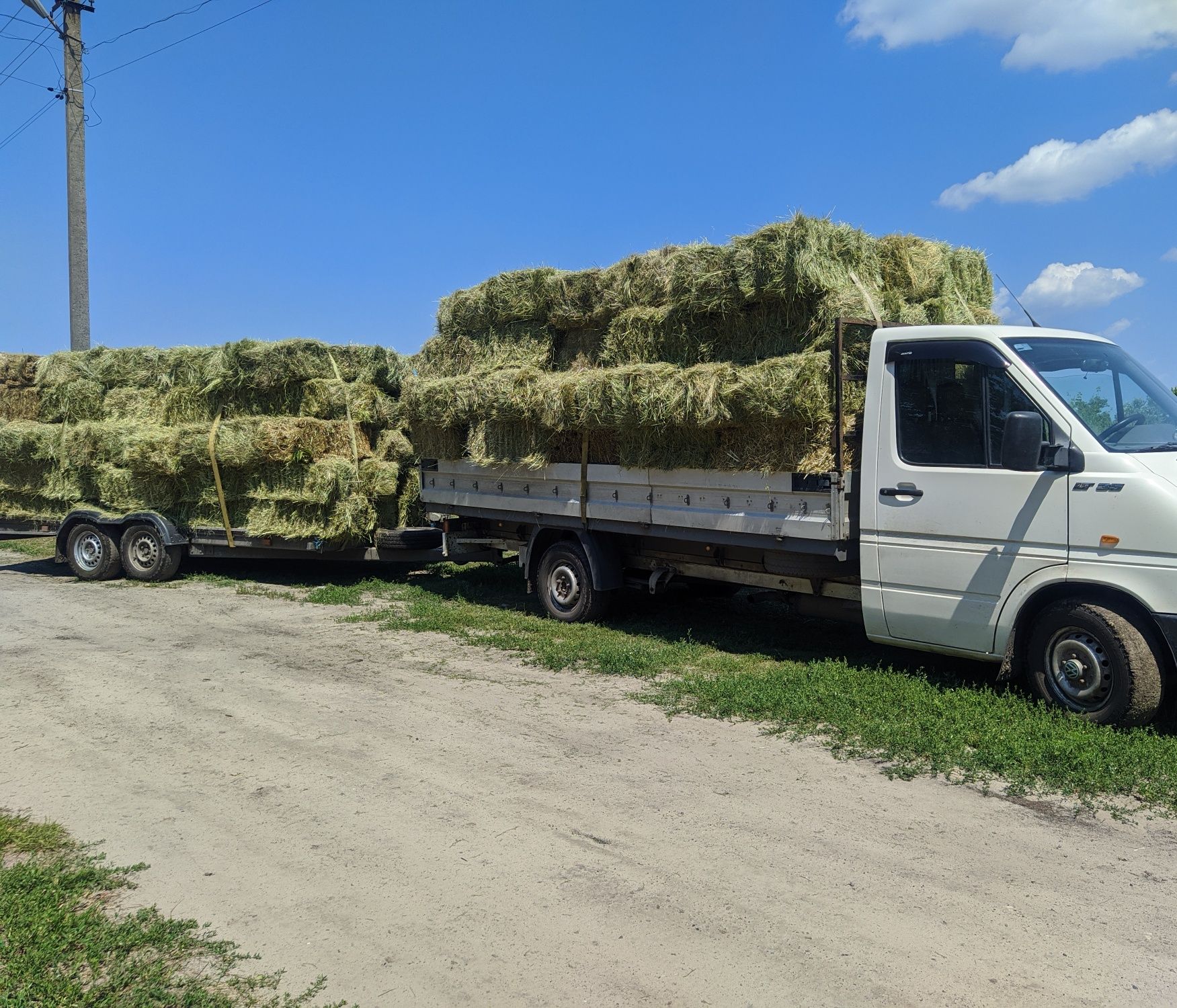 Люцерна,сіно в тюках