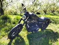 Harley-Davidson Sportster XL 883 Iron 2021 tylko 800 km przebiegu