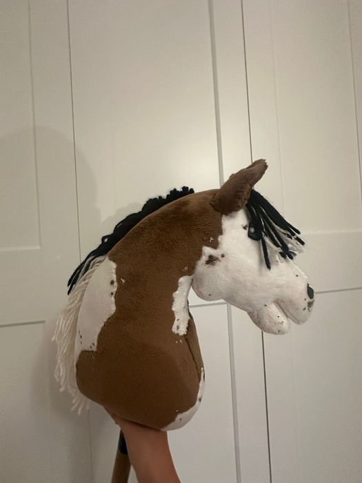 Hobby horse A4 łaciaty