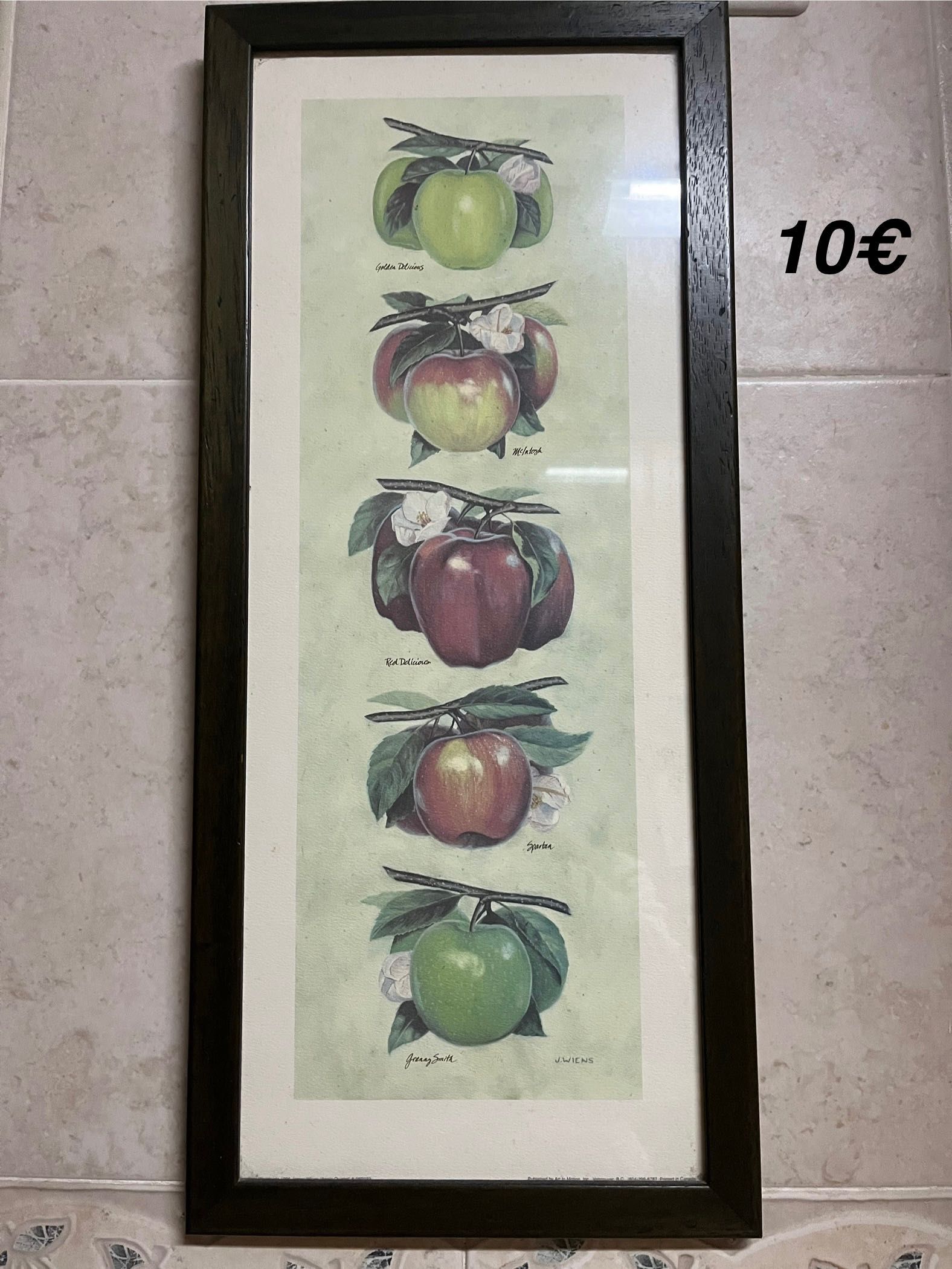 Quadros - decoração