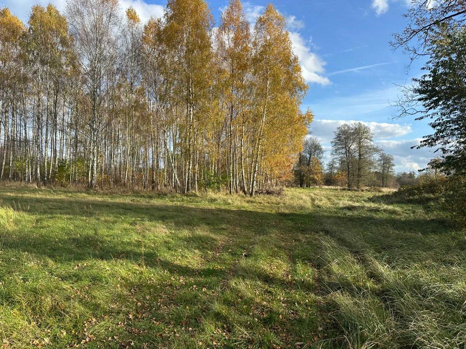 Działka z linią brzegową rzeki Grabia