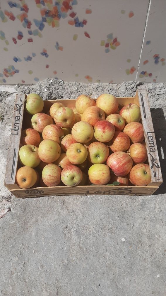 Vendo caixa de maçãs