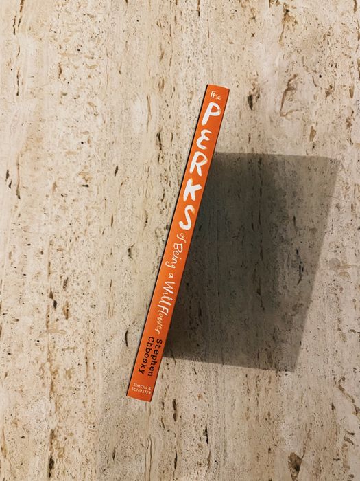 Livro Perks of being a wallflower (inglês) novo