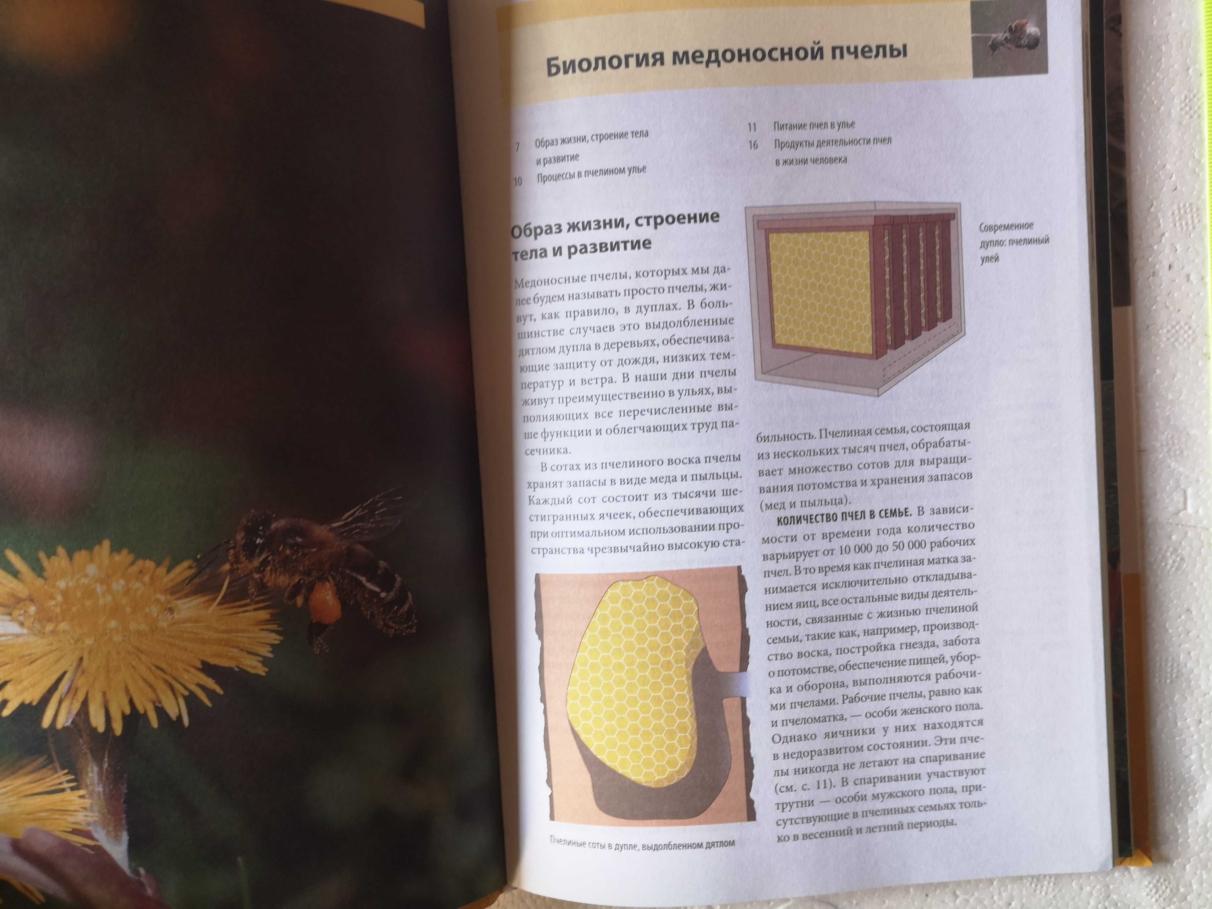 книга для читання советы опытного пчеловода пасека пчеловодство