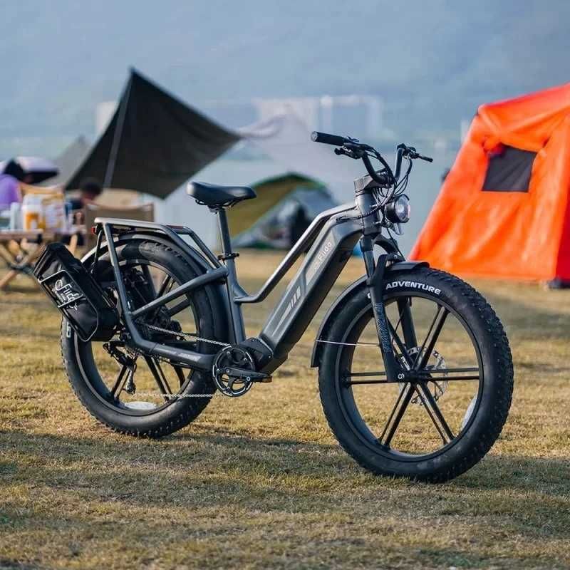 Bicicleta elétrica Fiido Titan Robust Cargo