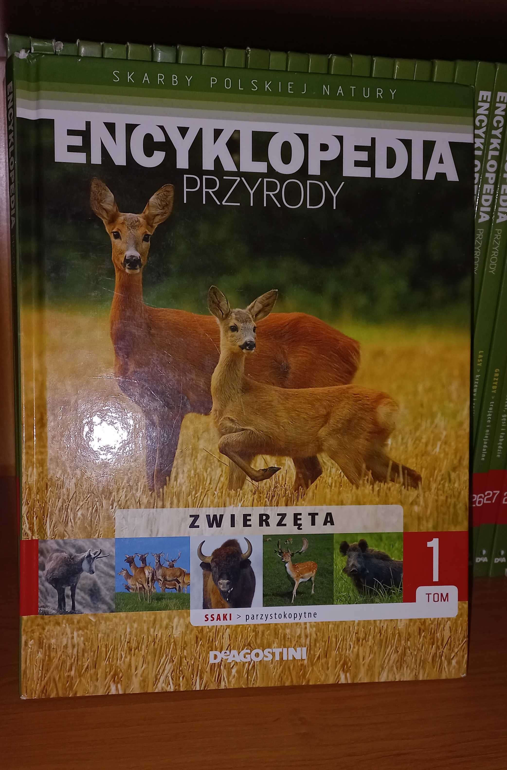 Encyklopedia przyrody 32 tomy