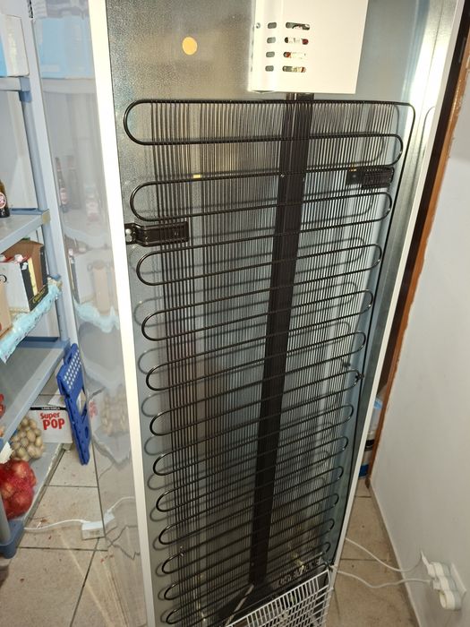 OPORTUNIDADE ÚNICA! Frigorífico Vertical de Exposição Premium