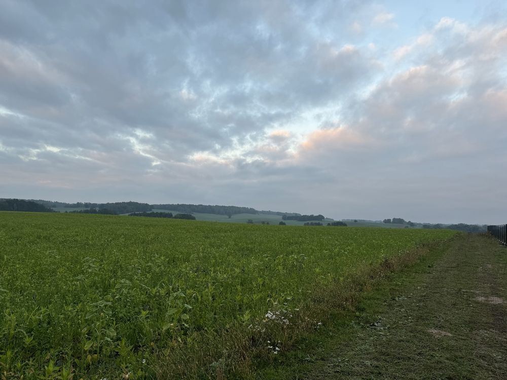Dzialka rolno - budowlana we wsi Sobota Lwowek Slaski  30 arow