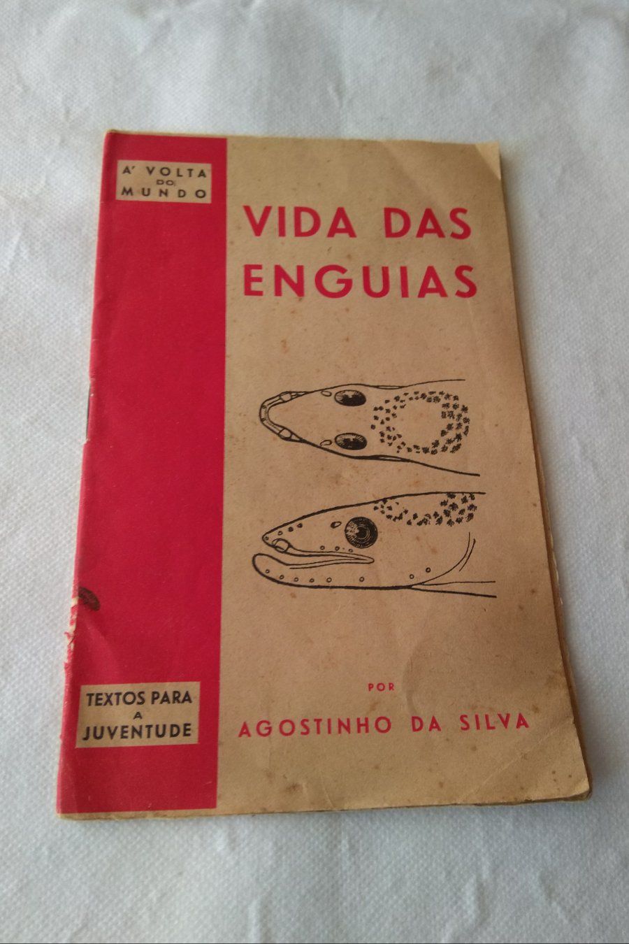 Vida das Enguias (de: Agostinho da Silva)