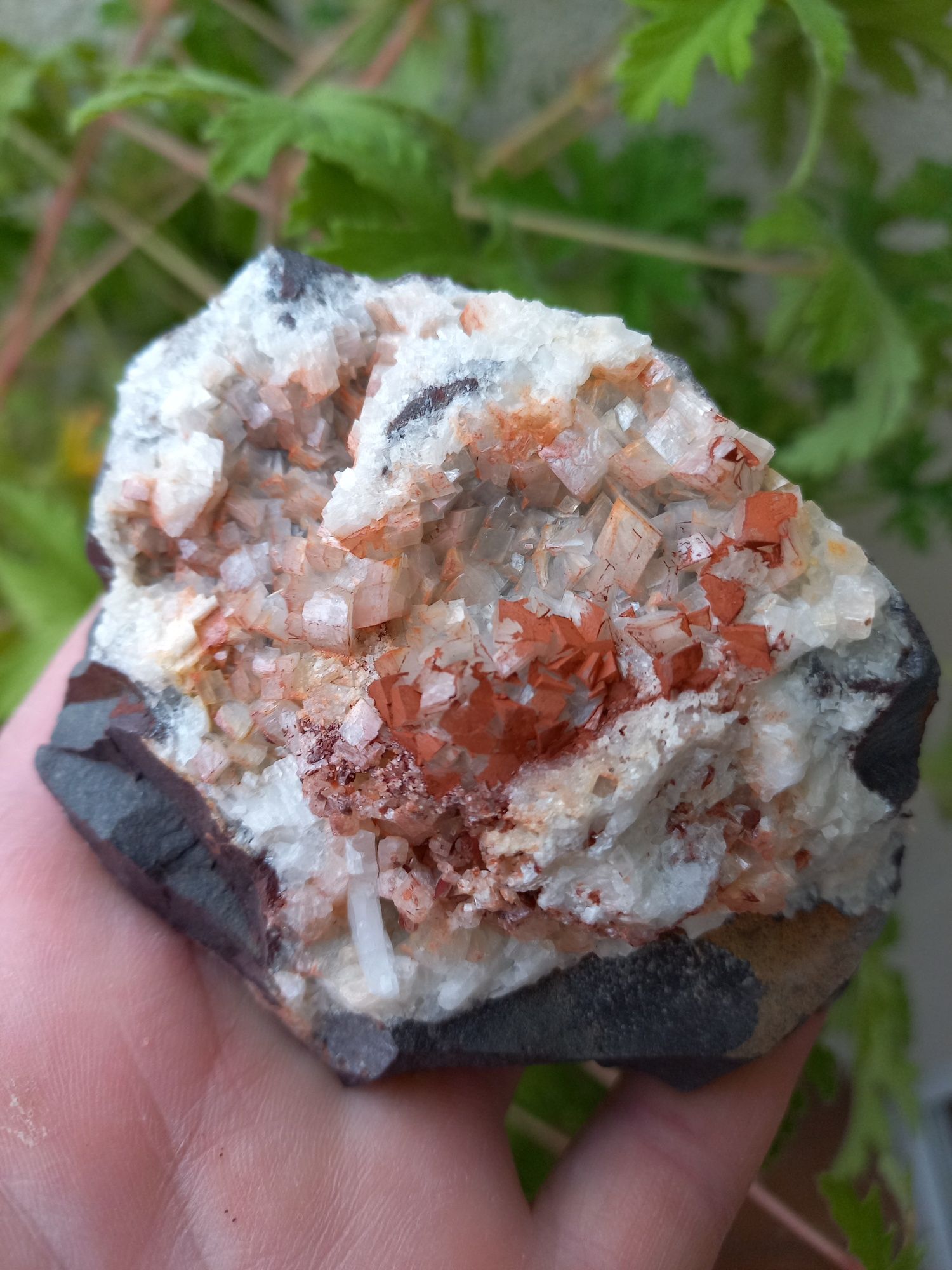 Minerały dolomit,ankeryt na sferosyderycie