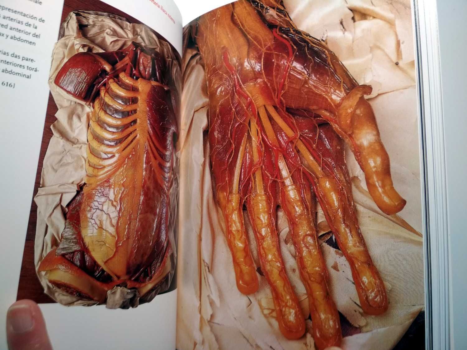 Taschen - Encyclopaedia Anatomica (porte incluído)