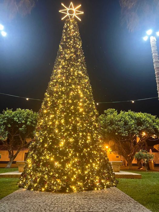 Aluguer de Arvore de Natal