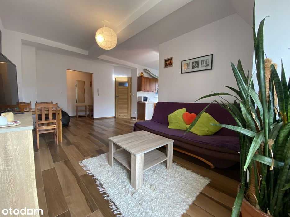 Kościelisko Gronik - bardzo ładny apartament do wynajęcia