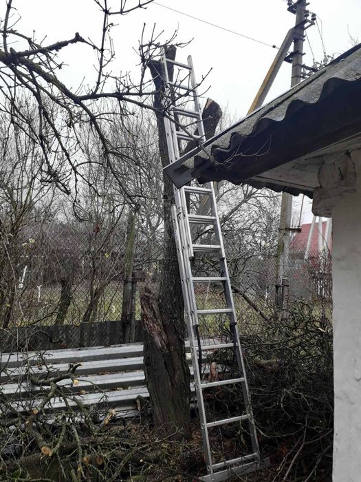 Видалення дерев Корчування пнів Благоустрій