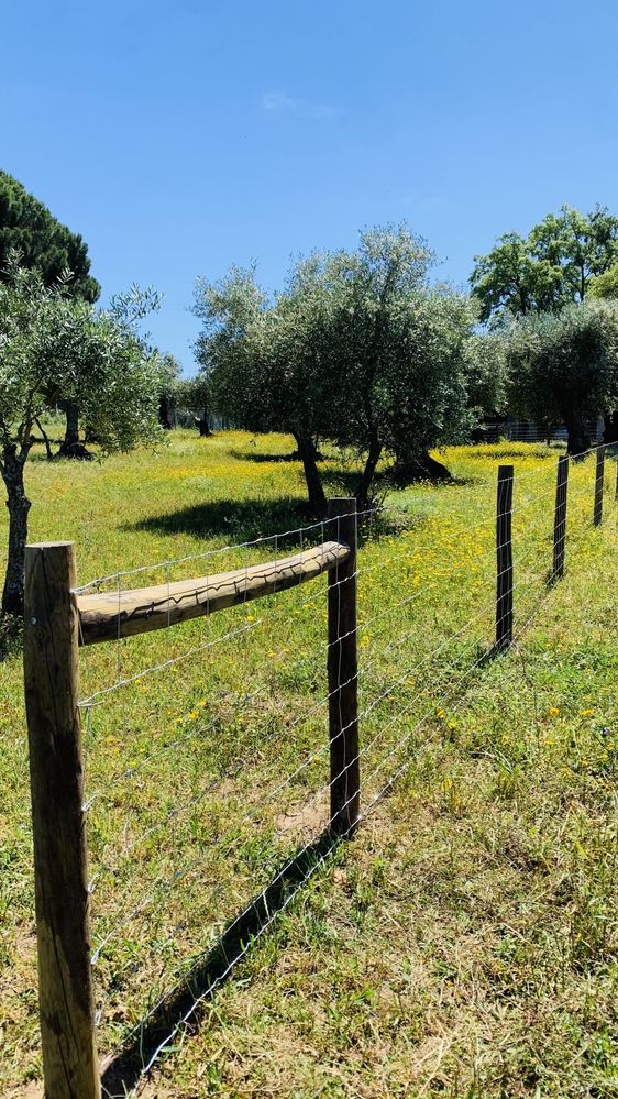 Vedações, Cercas, Fence, Horse Fence