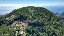 Terreno Rútico 3.355m2 Boqueirao- Gaula