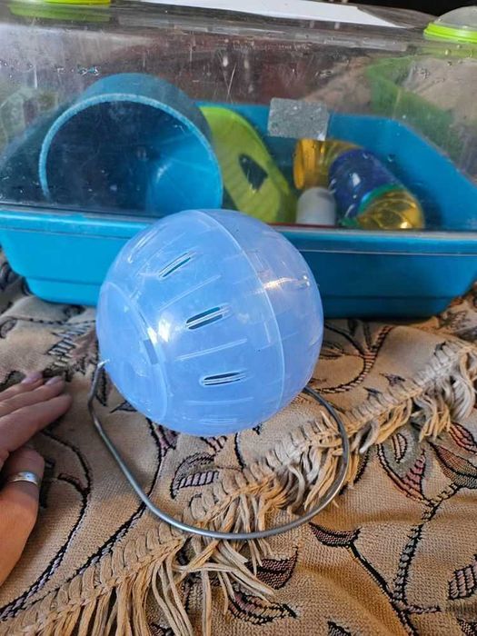 Клітка для гризунів