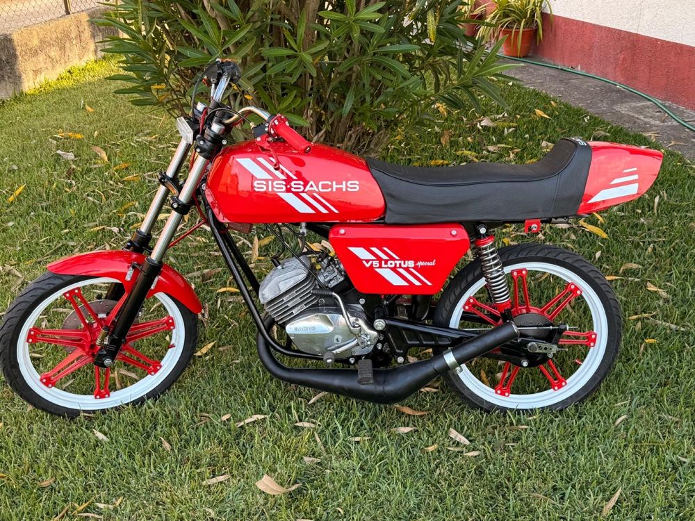 Sachs lotus polini