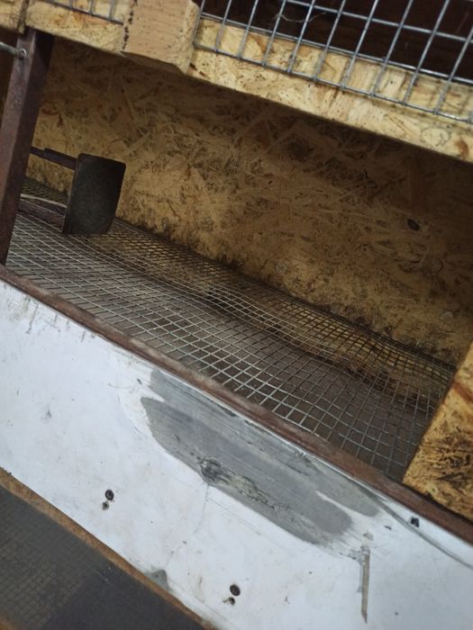 Брудера для циплят