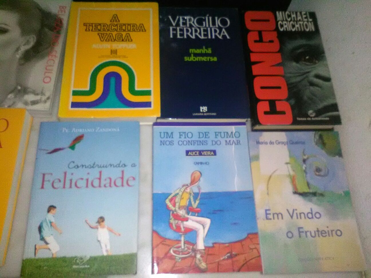 Conjunto de 23 Livros Diversos