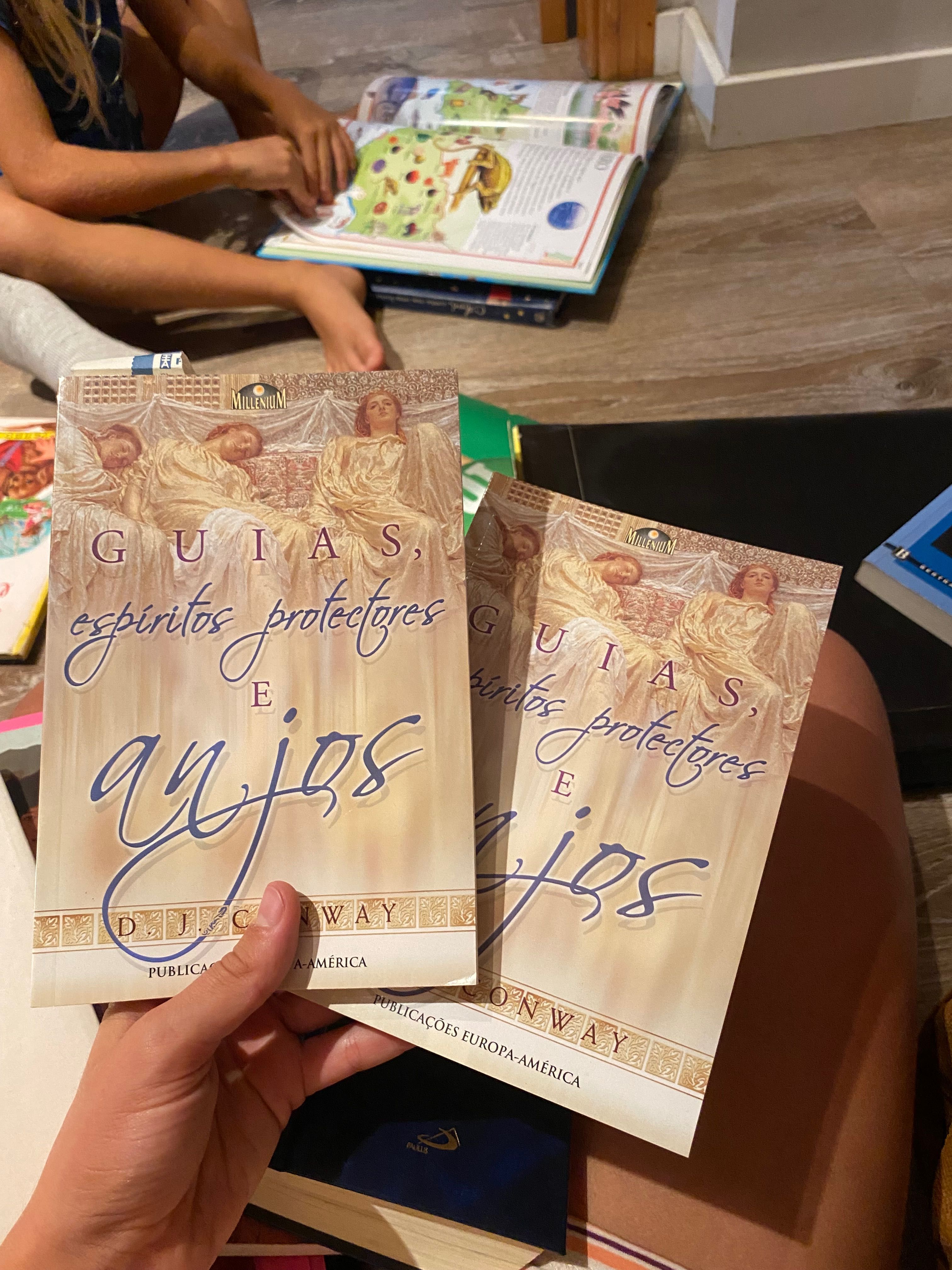 Livro “guia, espíritos protetores e anjos”