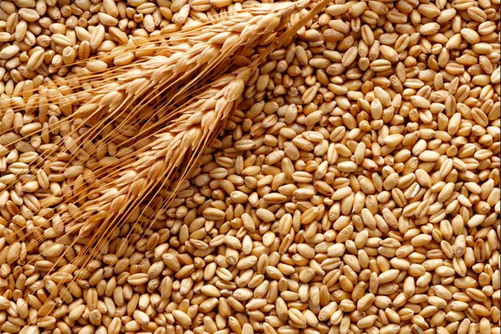 Продам пшеницу 3 тонны. Торг